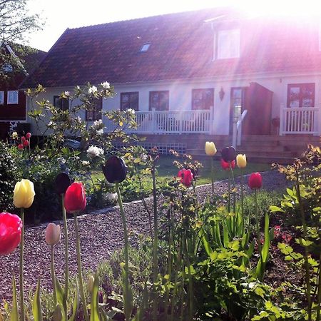 Svanebaecks Gard Viken  Exterior foto