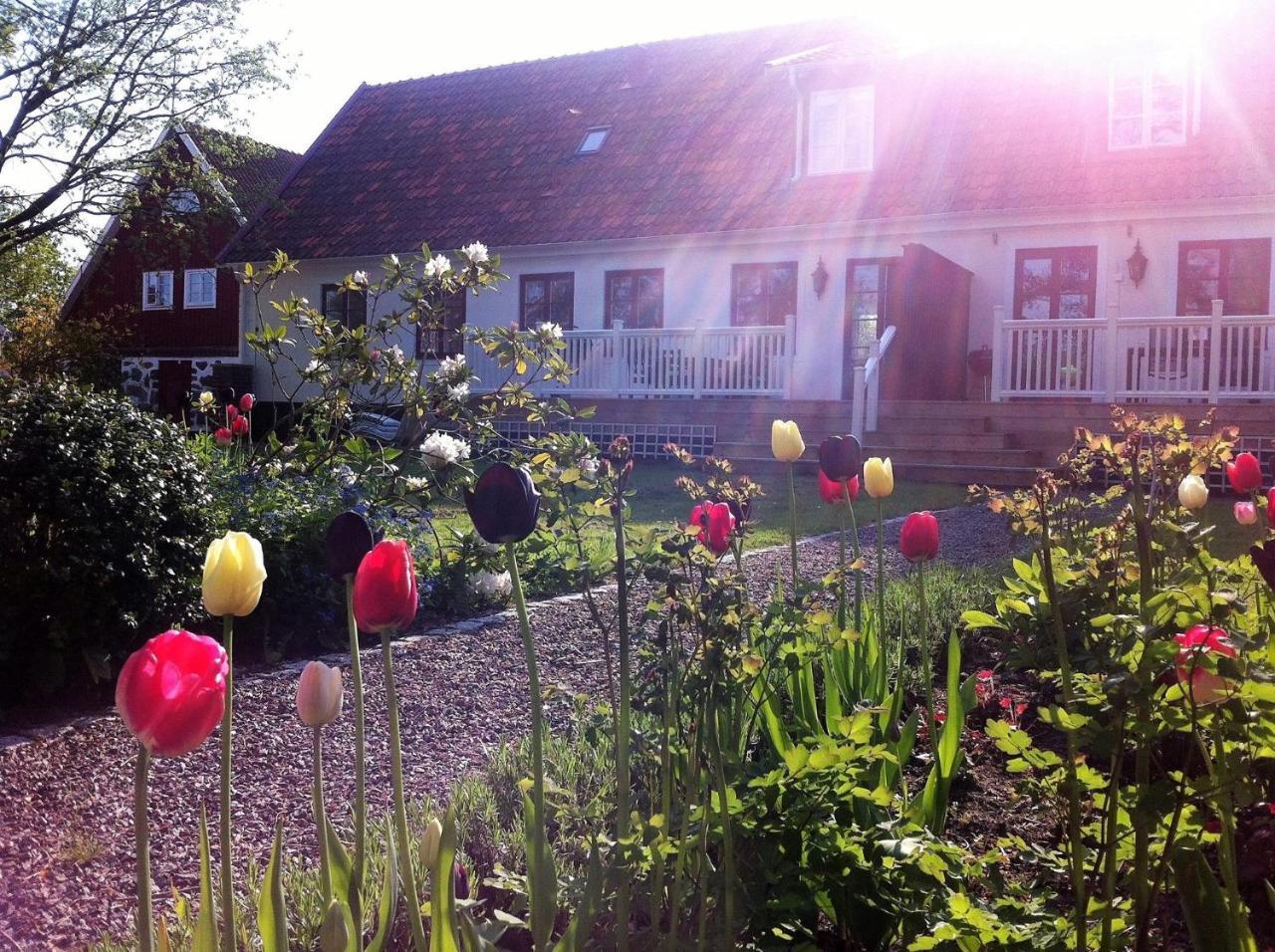 Svanebaecks Gard Villa Viken  Exterior foto